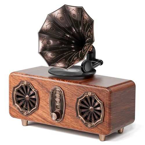 COLSUR Retro Bluetooth Lautsprecher Vintage Küchenradio 1800mAh