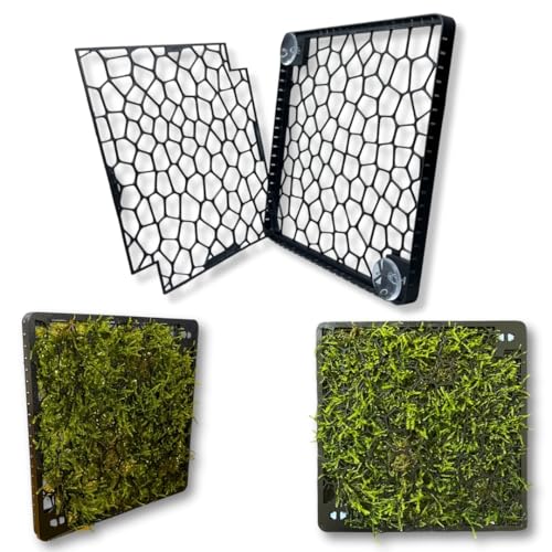 Mooswand Aquarium – Rückwand-Gitter zum Begrünen – Slim Design mit Magnetbefestigung – für Moos & Aufsitzerpflanzen – Aquarium Pflanzen Zubehör (Aquanetic Magnetbefestigung)