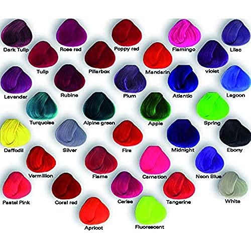 La Riché Directions Directions rose red, 88 ml (1er Pack)