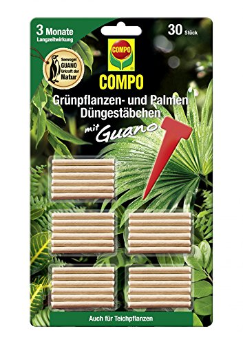 COMPO Grünpflanzen- und Palmen Düngestäbchen mit Guano, Grünpflanzendünger