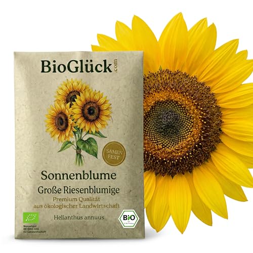 BioGlück Bio-Sonnenblume Riesenblumig Saatgut