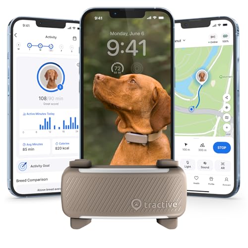 Tractive GPS Tracker Hund | 2025 Edition | Live-Ortung | Weglaufalarm | Aktivitätstracking | Gesundheitswarnungen | Bellverhalten | Empfohlen von Martin Rütter (Braun)