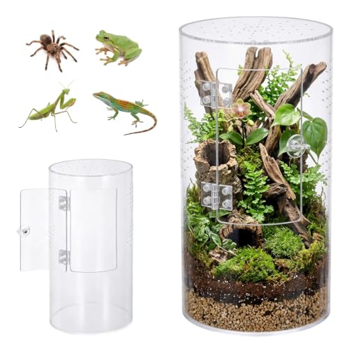 TranRantic Zylindrischer Terrarium, 360° PanoramaVivarium(15x15x30CM)