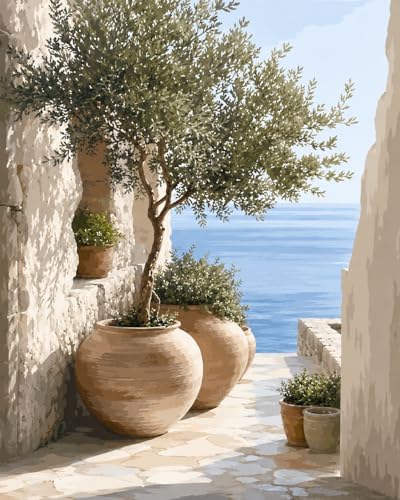 Hjjdiyes Malen Nach Zahlen Erwachsene Landschaft Olivenbaum am Meer DIY Acryl-Malset auf Leinwand mit Farben und Pinseln, 40 × 50 cm, Ohne Rahmen, Kreative Wanddeko und Geschenk
