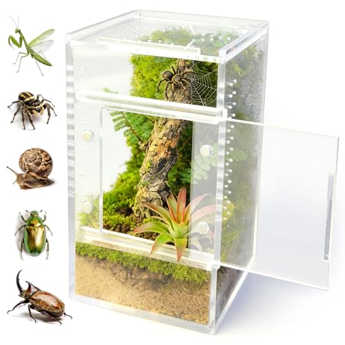 Springspinnen-Terrarium aus Acryl, 8 × 8 × 15 cm, vormontiertes Insekten- und Spinnengehege für Vogelspinnen, Schnecken, Gottesanbeterinnen, Frösche und kleine Reptilien