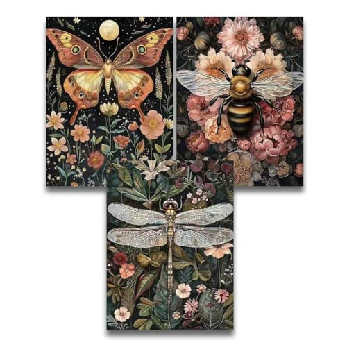 WEMEON 3 Stück Malen Nach Zahlen Erwachsene (30x40cm), Paint by Numbers Leinwand Leinwand und Acrylfarbe, DIY Set Erwachsene zur Entspannung für Home Deko