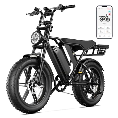 SISIGAD E Bikes Mountainbike Fatbike 20 Zoll Elektrofahrrad Herren Damen Elektro Fahrrad mit LCD Display und App, E Fatbike 36V 13Ah Batterie 250W Motor 25km/h E Fahrrad