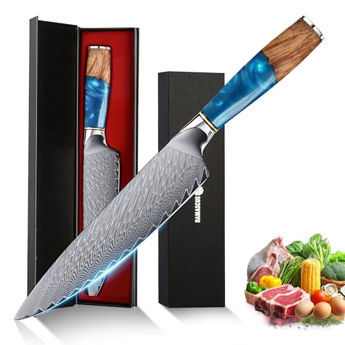 hoforife Küchenmesser, Japanisches Damastmesser 67-Lagig VG10 Hochkohlestahl, Ergonomischer Holz-Griff, Geschenkbox (20 cm, Blau-Resin & Holz)