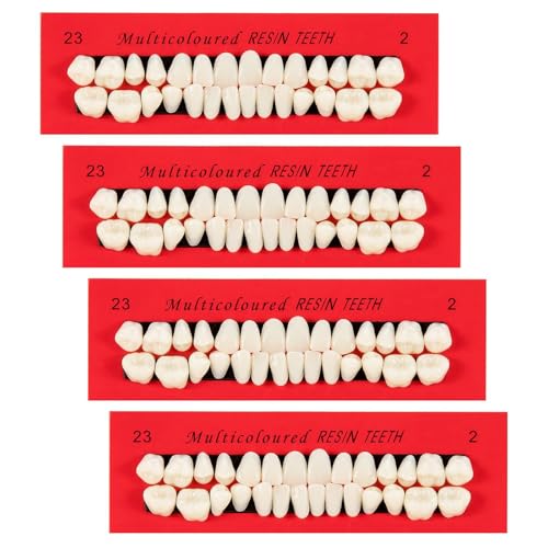 112 Stück Falsche Zähne Dental Komplette Acrylharz Zahnersatz, Acryl Harz Kunst Zähne, 4 Set Ganze Zähne Synthetische Polymer Zahnersatz Zahn, 23 Farbschatten A2 für Halloween Party Reparatur