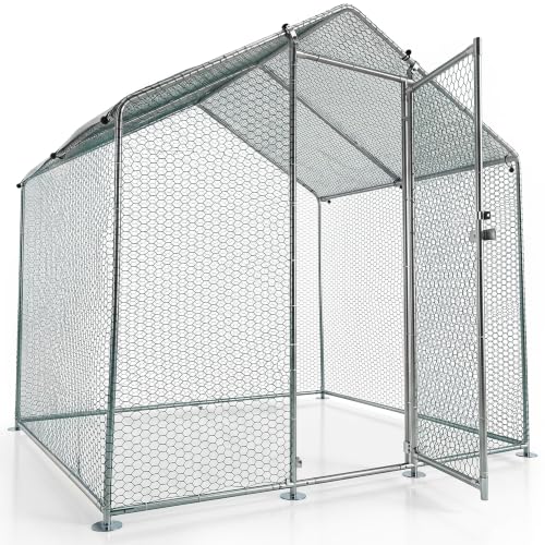 Juskys Freilaufgehege 2x2x2 m begehbar aus Metall, Hühnerstall