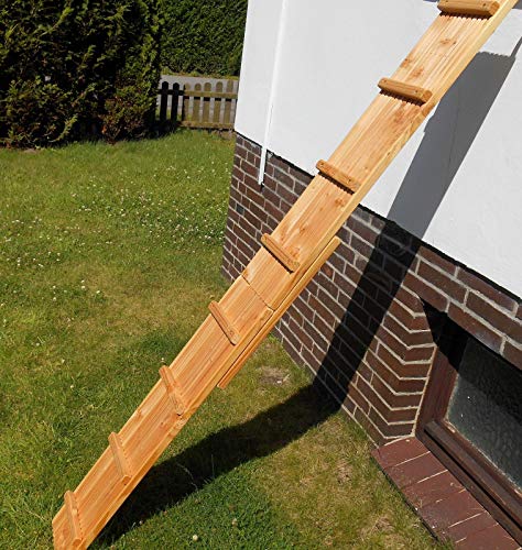 Jennys Tiershop 3 Meter! Katzenleiter/Katzentreppe mit 2 Verbindungsstücken für Balkon, Mit Klemmhalterung. extra 21 cm Breit! Douglasie (e)