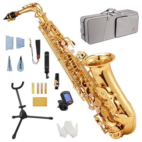 STRICH Eb-Altsaxophon – Messing-Einsteiger-Set für Altsaxophon mit Hartschalenkoffer, Ständer, Tragegurt, Mundstück und Blättern für Schulorchester und das Üben zu Hause, SSA-31G, Gold