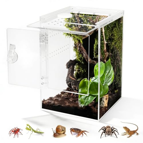 Biigdan Vordere Öffnung Schnecken Terrarium, 360° Rechteck Vivarium 20x20x30cm mit Querlüftung, Wasserdicht Acryl Terrarium für Springspinne Gottesanbeterin, Geckos, Laubfrösche, Käfer