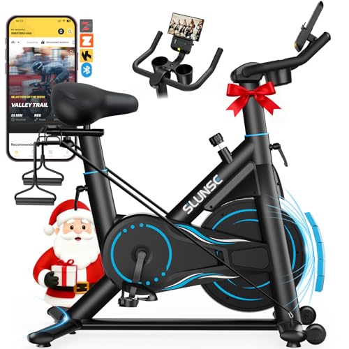 SLUNSE Heimtrainer Fahrrad mit App, Einstellbarer Magnetischer Widerstand Hometrainer Fahrrad, Leise & Bequem Ergometer Heimtrainer mit Hantelablage, Zugschnur*2, große rutschfeste Matte, Bis 180KG