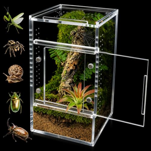 Springspinnen-Terrarium aus Acryl, 8 × 8 × 15 cm, vormontiertes Insekten- und Spinnengehege für Vogelspinnen, Schnecken, Gottesanbeterinnen, Frösche und kleine Reptilien