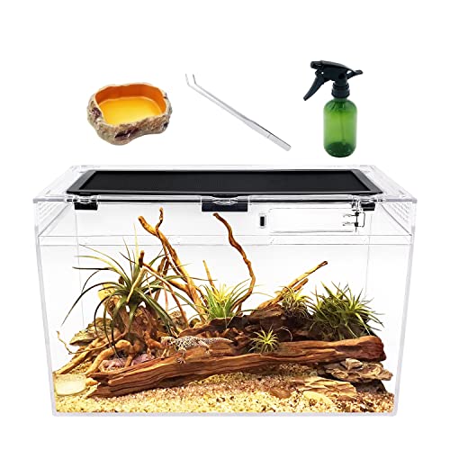 Reptile Growth Terrarium Komplettset, 16