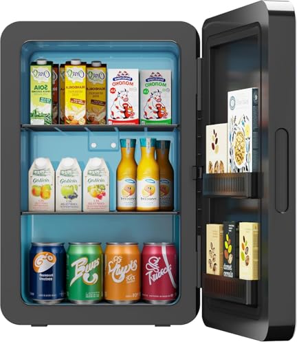 Mini Kühlschrank, 22L/30 Dosen Kleiner Kühlschrank mit Kühl- und Heizfunktion, Mini-Kühlschränke mit AC+12V DC für Schlafzimmer Büros Autos, Tragbare Kühlbox für Getränke, Kosmetik, Snacks (Schwarz)