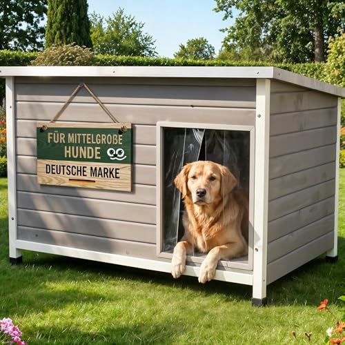 zooprinz Hundehütte Jacky L – Holzhaus mit Metallrahmen, Hellgrau | Wetterfeste Holz-Hundehütte mit Dach zum Öffnen, Lamellentür und Kunststofffüßen – für indoor und outdoor