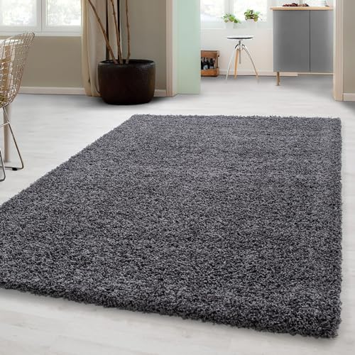 Carpetsale24 Shaggy Hochflor Teppich Wohnzimmer 300 x 400 cm Grau - Moderner, Flauschiger, Großer Langflor Teppich – Weicher Carpet für Schlafzimmer, Esszimmer & als stilvoller Küchenteppich