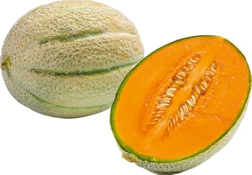 Frische Cantaloupemelone