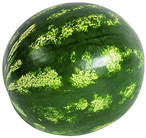 Mini Wassermelone, Stück