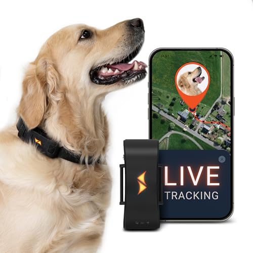 PAJ GPS Tracker für Hunde - 4G - Weglaufalarme + weltweite Live-Ortung - bis zu 10 Tage Akkusparmodus - Hunderückruf - mit Leucht-LEDs - Wasserdicht (IP67) - passt an jedes Halsband - schwarz
