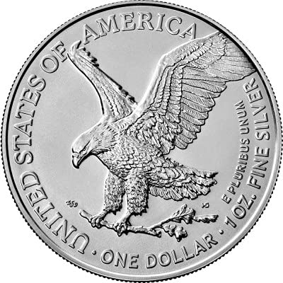 Birsppy Silbermünze 1 Unze American Eagle Typ2 2021 incl. Münzkapsel und Samtbeutel, Differenzbesteuert nach § 25a UstG