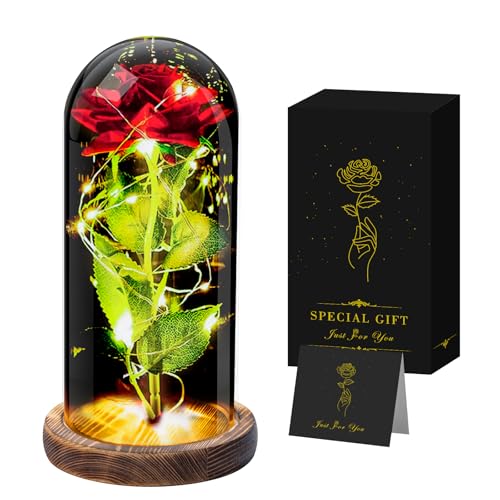 Seachrgif Ewige Rose,Valentinstag Rosen Geschenke für Sie,Infinity Rose,Romantische Geschenke für Frauen Frau Freundin,Ehefrau,Junge Frauen,Schwiegermutter, Mama,Oma Schwester