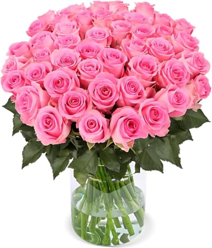 Blume Ideal Rosenstrauß - 40 Rosen in Pink - Ø 40–50 cm - Echte premium Blumen für Hochzeit & Deko - 7 Tage Frischegarantie - in verschiedenen Farben und Mengen