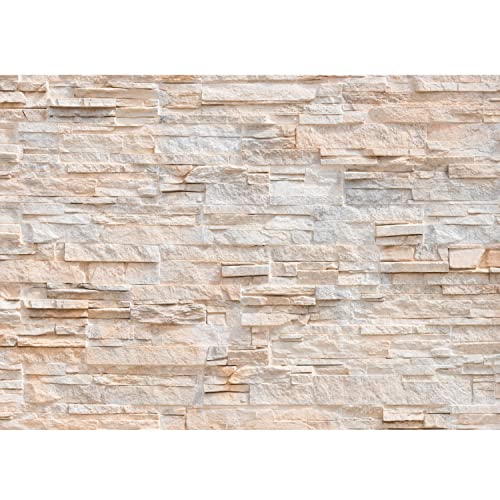 Runa Art Fototapete Steinwand 3D Effekt 352 x 250 cm Vlies Tapeten XXL Moderne Wandtapete Wohnzimmer Schlafzimmer Beige 9082011a