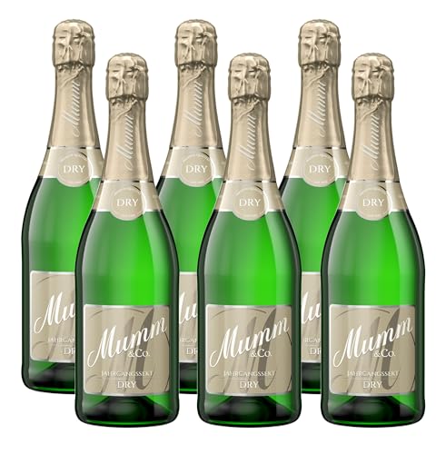 Mumm Dry Jahrgangssekt Trocken (6 x 0.75 l)
