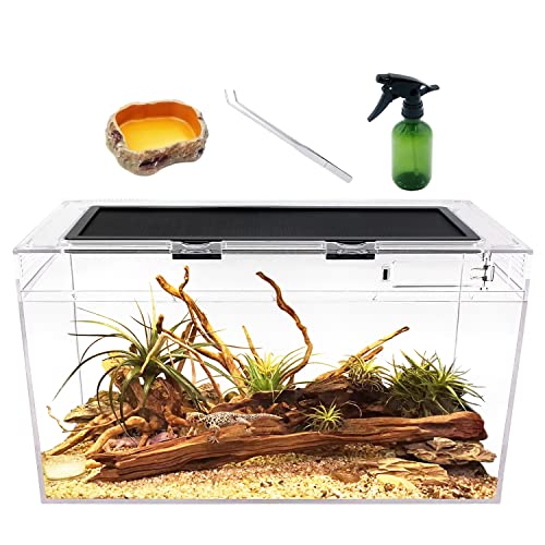 Reptile Growth Terrarium Komplettset, 50 x 25 x 27cm Faunarium für,Schnecken,Insekten,Wasserschildkröten,Vogelspinnen,Springspinne,Leopard Gecko,Bärtiger Drache ,Frosch,Aquarium,Einsiedlerkrebs…