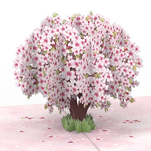 papercrush® Pop-Up Karte Kirschblüten Baum - 3D Geburtstagskarte mit Sakura Blüten für Frau, Freundin & Partnerin, Handgemachte Glückwunschkarte zum Jahrestag & Hochzeitstag, Karte zur Geburt Mädchen