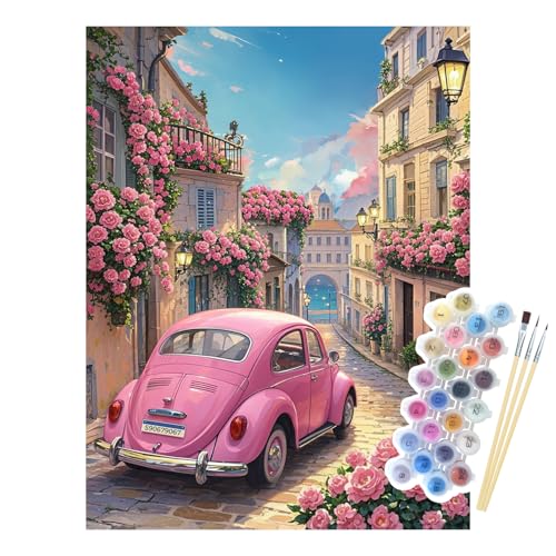 NPCSWXQ Malen Nach Zahlen Erwachsene, Sonnenuntergang rosa Rosen Auto Dekoration DIY Paint By Numbers Adult Kit für Haus Wand Schlafzimmer Studie oder Büro Dekoration Geschenk 40x50cm