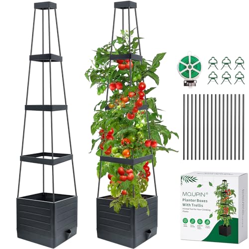 MQUPIN Tomaten-Pflanzkästen, Hochbeet mit Rankgitter zum Klettern von Gemüse, Pflanzen, selbstbewässernde Pflanzkästen für den Außenbereich, verstellbare Rankenstütze, 2 Stück