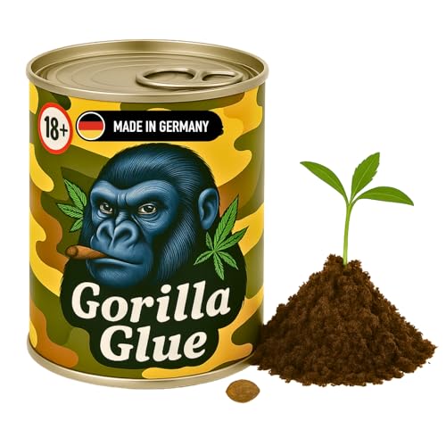 Cannabis Anbau Starter-Kit/Set für Anfänger (Gorilla)