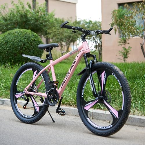 KernGut 24/26/27.5 Zoll Allterrain Mountainbike,21-Gang Shimano Erwachsener Mountainbike mit Scheibenbremse und Schlammbrett,High-Carbon Stahlrahmen MTB Fahrrad,Mehrere Farbe (Rosa, 24 Zoll)