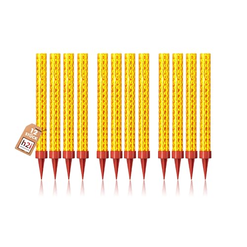 h2i Eissterne I 12 Stück - echte 60 Sek. Brenndauer | Eisfontäne, Sprühkerze und Sternenspritzer | Highlight jeder Party, Hochzeit, Geburtstag | Deko für Flaschen | Kat F1