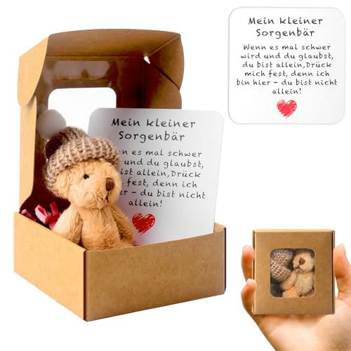 71Nmly Teddybär Klein Pocket Hug Deutsch Mini Stofftiere Kleiner Teddy Mit Karte Geschenkbox Klein Positive Ggeschenke für Geburtstag Weihnachtsfeier Lieferunge Kollegen Freundin Geschenk (Braun)