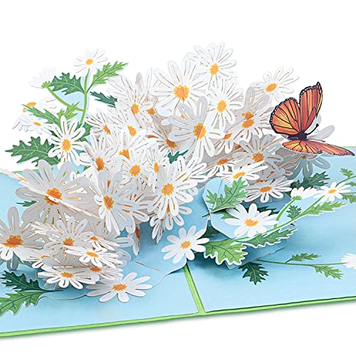 papercrush® Pop-Up Karte Blumen „Gänseblümchen mit Schmetterling“ - 3D Blumenkarte für Frauen (best Freundin, Kollegin), Glückwunschkarte zum Geburtstag für Mama und Oma, Gutscheinkarte für Gärtnerin