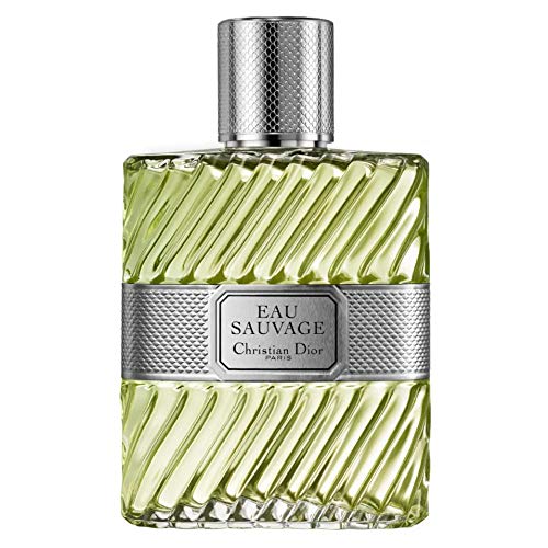 Dior Eau de Toilette für Herren 1er Pack (1x 100 ml)