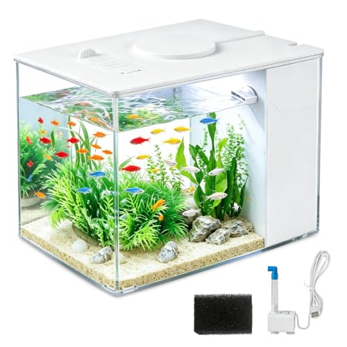 3,7L Nano Aquarium Komplettset, Mini Aquarium mit USB-Pumpe, LED-Beleuchtung & Rückwandfilter, kleines Aquarium mit Doppelabsaugung für Garnelen und Schreibtisch