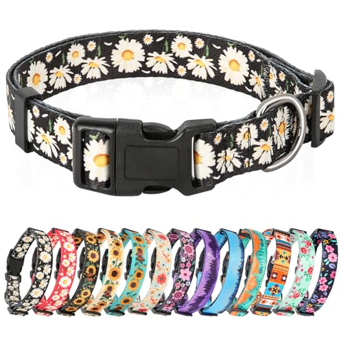 HEELE Hundehalsband, Hunde Halsband für Welpen Kleine Mittlere Große Hunde, Gemustertes Hundehalsbänder Verstellbares, Komfort, Robustem HundeHalsband, Gänseblümchen Schwarz, M