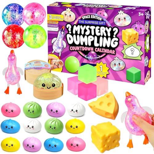 CWENDANE 25 Stück Adventskalender Sensorik Spielzeug,Fidget Toys Set