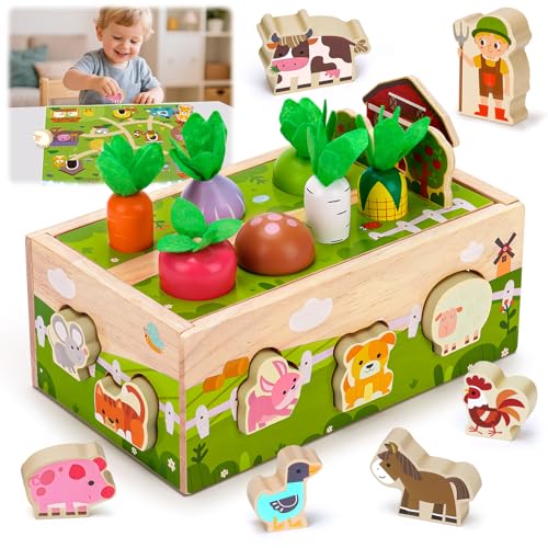 Montessori Spielzeug ab 1 Jahr, Geschenk 1 2 3 Jahr Jungen Mädchen