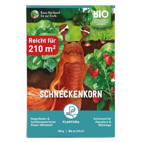 Plantura Bio-Schneckenkorn, regenfester Power-Wirkstoff, hochwirksame Schneckenbekämpfung an Obst Gemüse & Zierpflanzen, schonend für Haustiere, Vorteilspack: 150 g für 210 m²