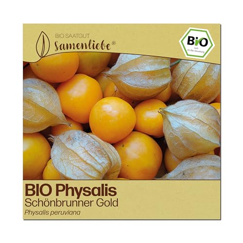 Samenliebe BIO Physalis Samen | Schönbrunner Gold - Andenbeere - samenfestes BIO Saatgut