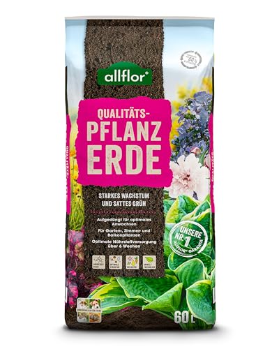 Allflor Pflanzerde I 1 x 60 Liter Beutel I Erde gebrauchfertig, aufgekalkt, aufgedüngt I Blumenerde für Pflanzungen im Garten oder im Kübel I Schnelles und optimales Wachstum
