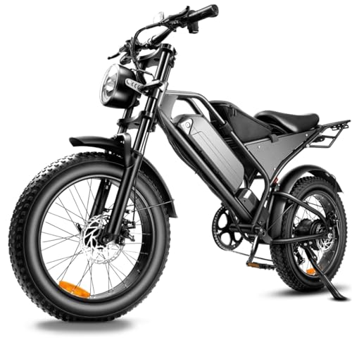 E-Bike Herren Damen 20 Zoll Fat Tire Elektrofahrrad, 48V 18.2Ah Akku E-Mountainbike für Lange Reichweite, Scheibenbremsen Stereofederbeine, 7-Gang-Schaltung, Retro Design Pedelec Offroad City Cruiser