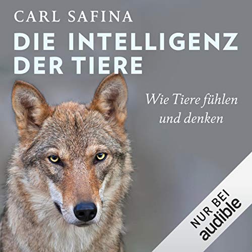 Die Intelligenz der Tiere: Wie Tiere fühlen und denken